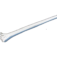 Gaine Coton naturel pour c�ble Dia.  1.5mm �crue