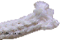 Cotton sleeves