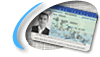 My Account Information