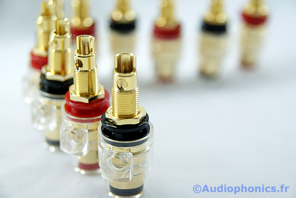 http://www.audiophonics.fr/images2/1487_1488_BORNIERS-TRANSPARENTS-ISOLES_1.jpg