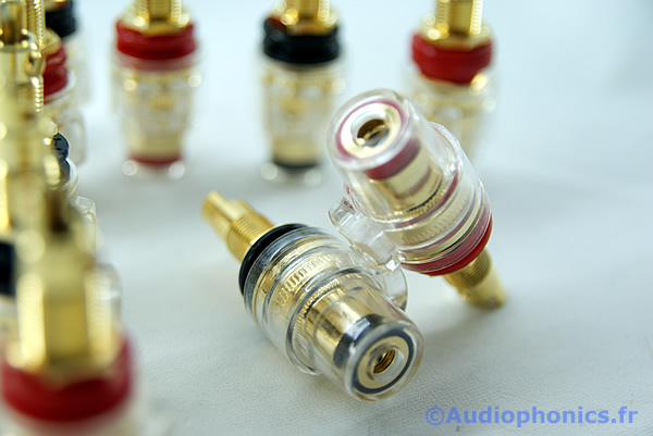http://www.audiophonics.fr/images2/1487_1488_BORNIERS-TRANSPARENTS-ISOLES_2.jpg