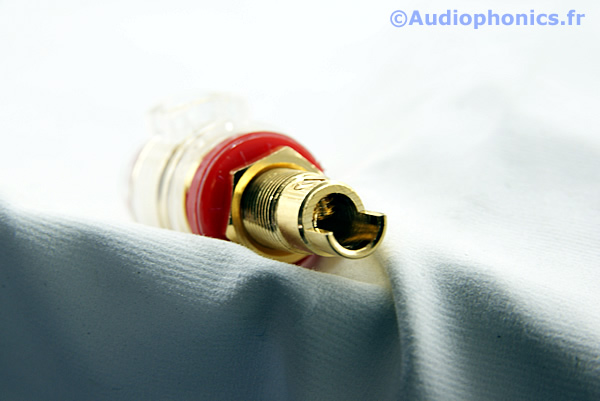 http://www.audiophonics.fr/images2/1487_1488_BORNIERS-TRANSPARENTS-ISOLES_3.jpg