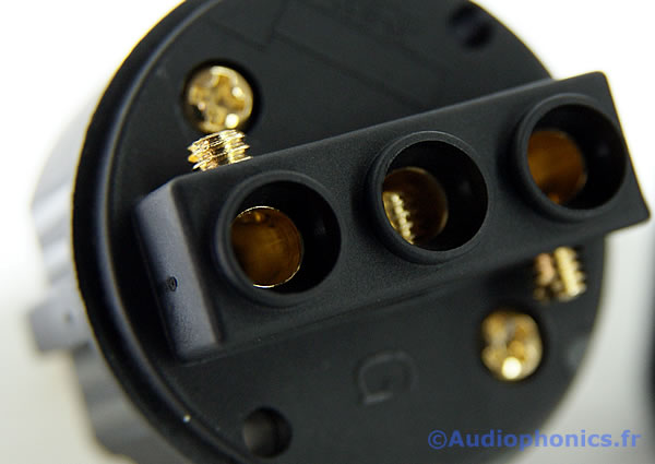 http://www.audiophonics.fr/images2/4732_ELECAUDIO_PS-22G_1.jpg