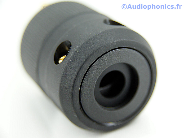 http://www.audiophonics.fr/images2/4733_ELECAUDIO_PI-22G_2.jpg