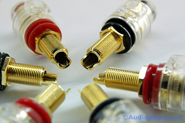 http://www.audiophonics.fr/images2/4765_BORNIERS-HP-OR-TRANSPARENT_1.jpg