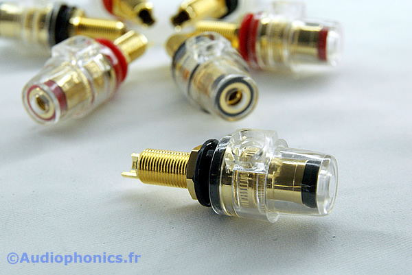 http://www.audiophonics.fr/images2/4765_BORNIERS-HP-OR-TRANSPARENT_2.jpg