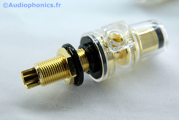 http://www.audiophonics.fr/images2/4765_BORNIERS-HP-OR-TRANSPARENT_3.jpg