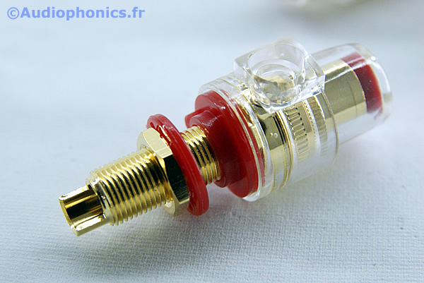 http://www.audiophonics.fr/images2/4766_BORNIERS-HP-OR-TRANSPARENT_2.jpg