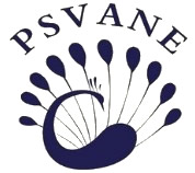 Psvane & Shuguang Treasure Audio Tubes