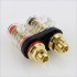 WM AUDIO BB-05 Borniers Double Isolés avec Plaque de Maintient Gold Plated 24k Ø6mm