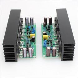 LJ L15 Modules Amplificateur 150W 8 ohm double mono (La paire)