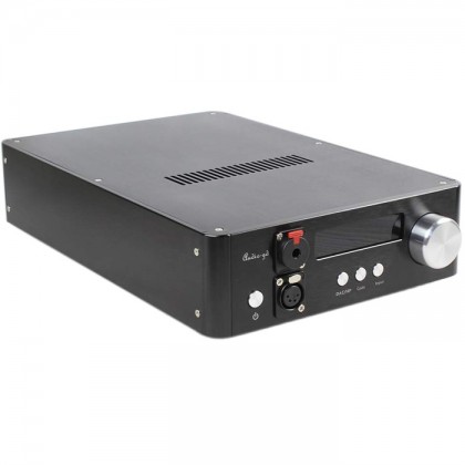 Audio-GD NFB-29 ES9018 DAC DSD/DXD 32Bit/384KHz USB32