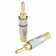 ELECAUDIO BA-601 Banana Plug Gold Plated Ø 5.5mm (La paire)