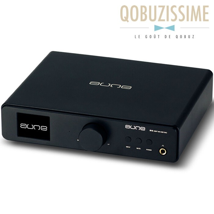 AUNE S16 DAC DSD / DXD AK4495S 32bit / 384kHz XMOS