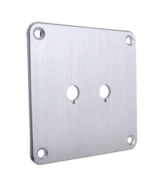 Dayton Audio SBPP-SI Binding Post Back Plate – Silber Eloxiert, 4" X 4", Für Lautsprecher-Kabelschuhe