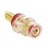 ELECAUDIO BP-205 Isolated Acrylic Terminal Block Gold Plated V2 (Red)