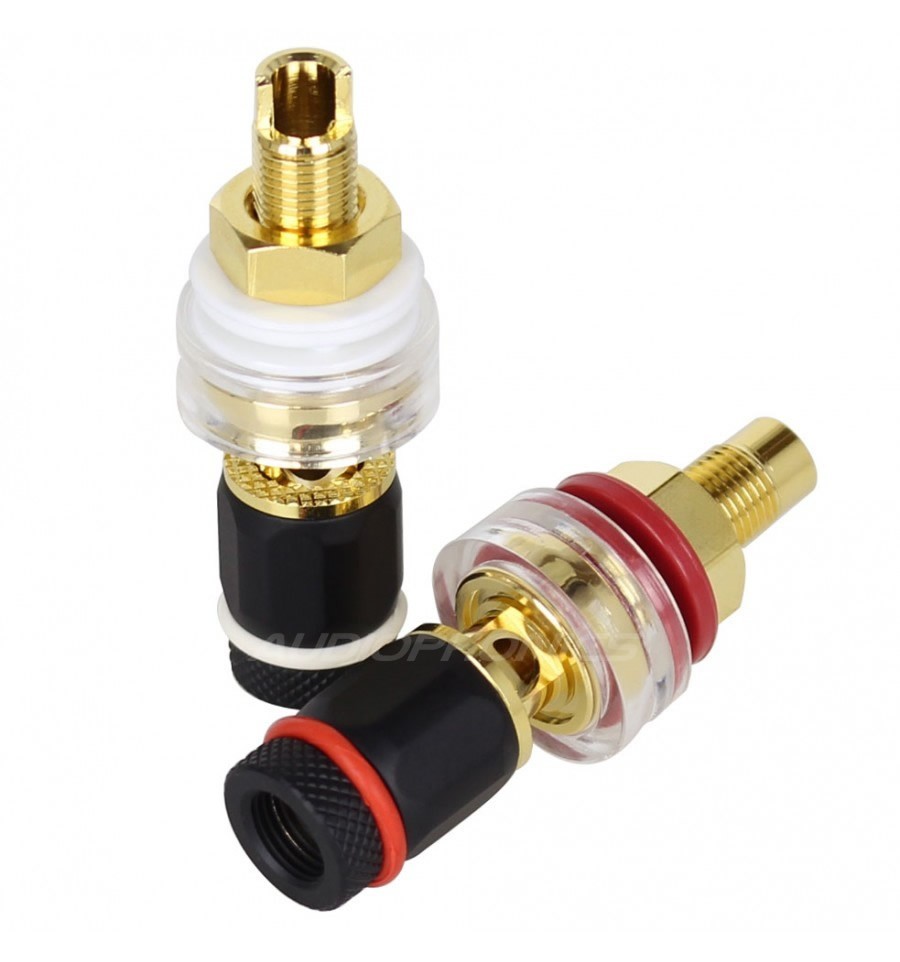 ELECAUDIO BP-209 24K Gold Plated Binding Post Ø19mm (Pair)