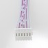 XH 2.54mm Ribbon Cable Female / Female 6 Poles 2 Connector 10cm (Unit)