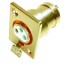 XLR 3 Poles Female Gold-plated XLR base plate