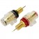 ELECAUDIO Gold plated isolated Binding post (Pair)