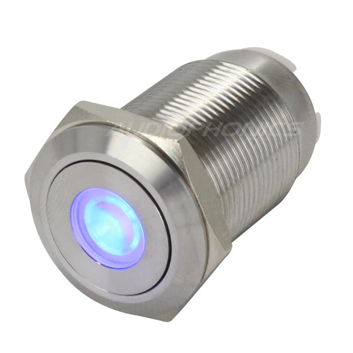Interrupteur Inox avec LED Bleue 1NO1NC 250V 5A Ø19mm Argent