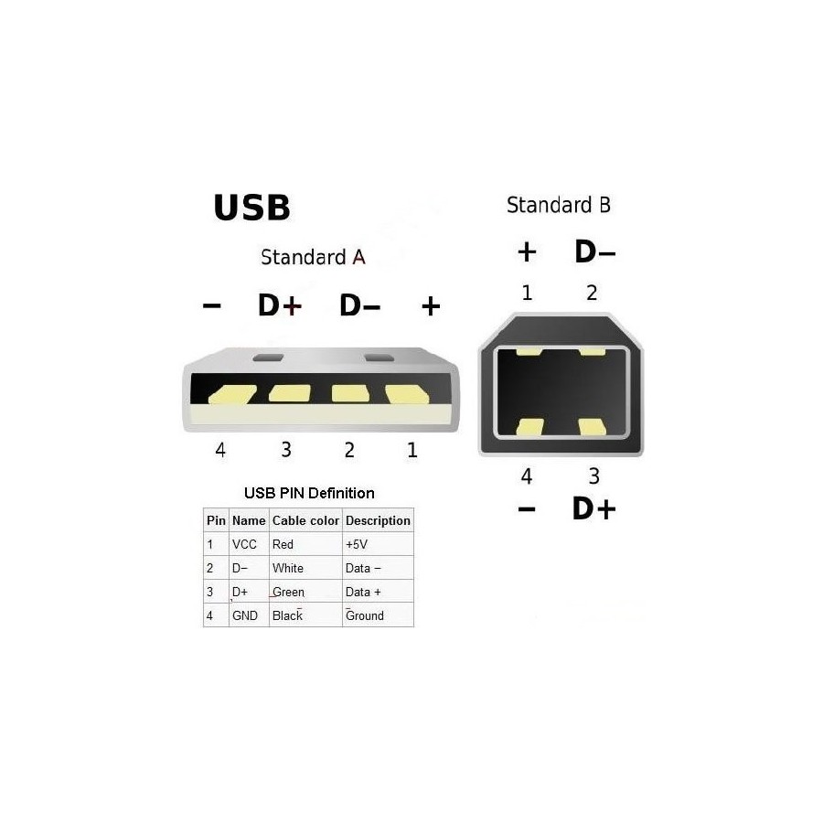 Audiophonics - Connecteur USB mâle Type A DIY doré blanc