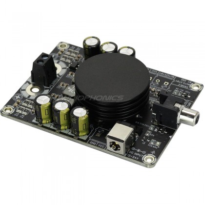 SURE AA-AB31184 1 x 100 Watt 2 Ohm Class D Audio Amplifier Board TPA3116