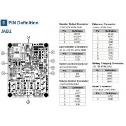 SURE AA-AC11160 Module Amplificateur Class D Stéréo 2x15W 4 Ohm Bluetooth 2.1