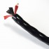 NEOTECH NEMOS-3080 Câble Haut-Parleur Cuivre UP-OCC 2.1mm² Ø12.5mm
