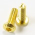 Screw SHCS round head Steel BTR M4x8mm Gold (x10)