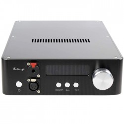 AUDIO-GD NFB-29.38 DAC ES9038Pro DSD / DXD 32bit / 384kHz Amanero HDMI TCXO