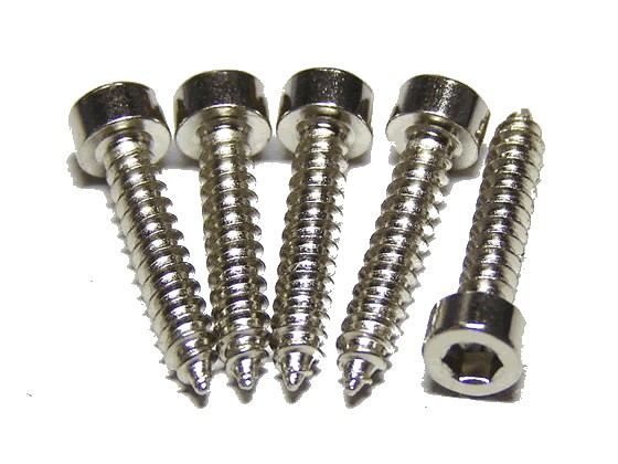 Vis à Bois TCHC Tête Cylindrique Plaqué Argent BTR 3.5x16mm (x10)