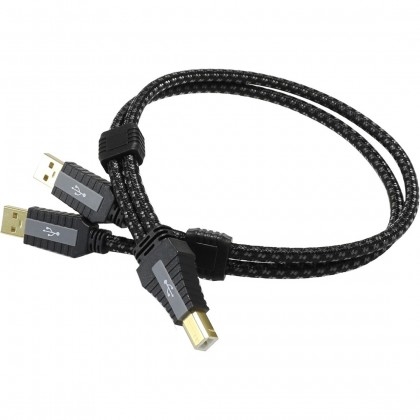 PANGEA Premier XL Câble USB-A Male/USB-B Male 2.0 Cardas Copper plaqué Or 1m