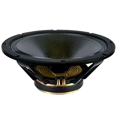 Large bande Davis Acoustics 21MRP 210mm