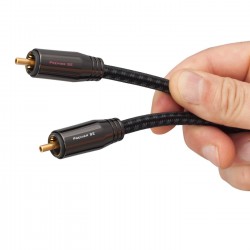 PANGEA PREMIER SE Câble de Modulation RCA (La paire) 0.6m