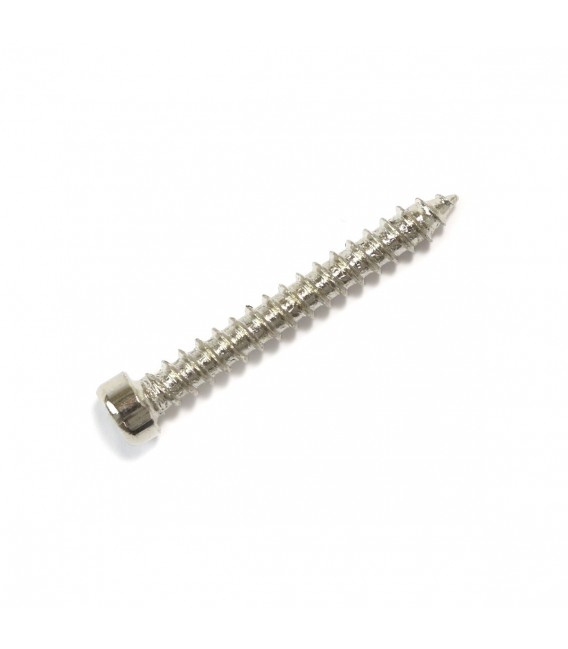 Hexagon Socket Cylindrical Head Wood Screw CHC M4x30mm Silver (x10 ...