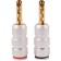 Audiophonics BA-501 Fiches Bananes BFA à lamelles (x2) Ø 5.0mm