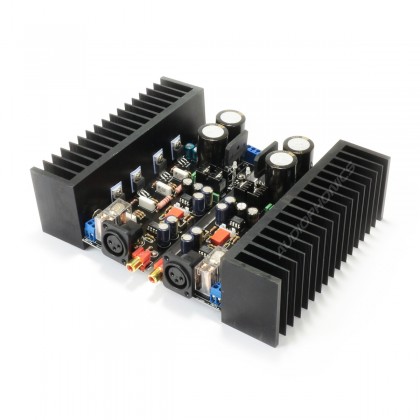 Module Amplificateur de Puissance LM1875 (La paire)