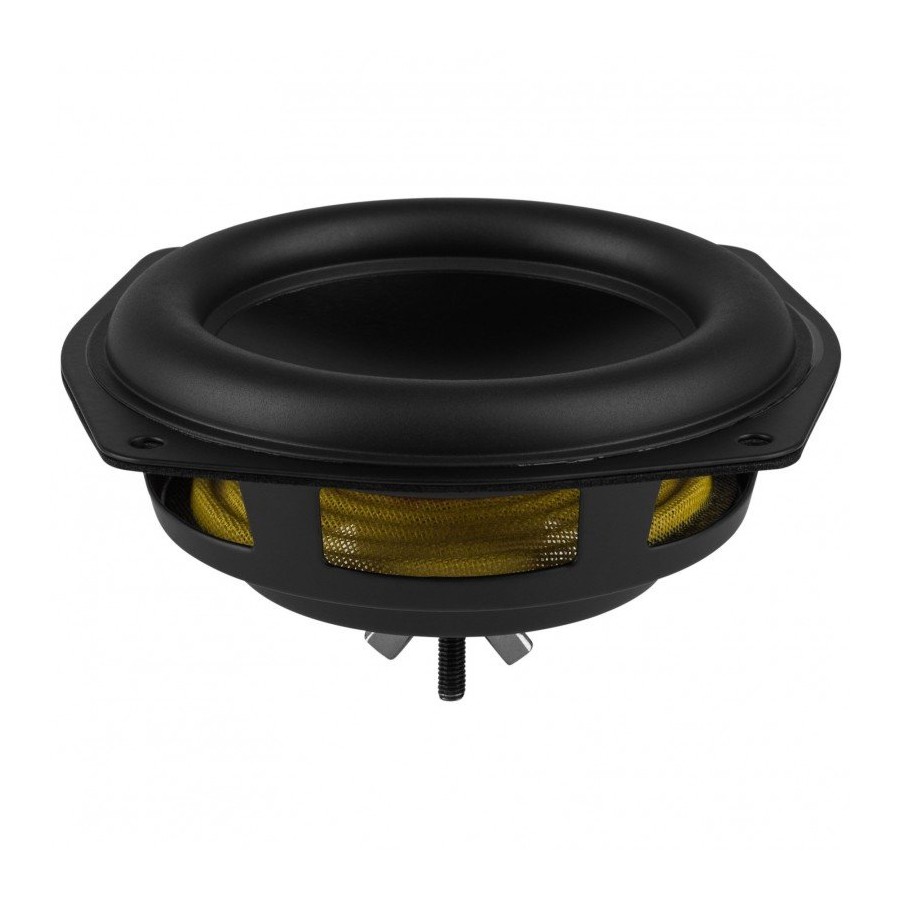 passive radiator speaker price
