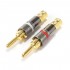 WM AUDIO BS-108 Banana Plug Gold plated Copper Ø6mm (Pair)