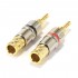 WM AUDIO BS-106ZAG Banana Plug Ø6mm (Pair)