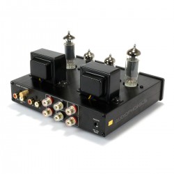 FX-AUDIO TUBE-P1 Valves Amplifier and Phono MM Preamplifier 6J1 + 6P1 Stereo