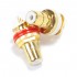 FURUTECH FP-900 (G) Gold Plated RCA Plugs (Pair)