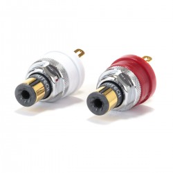 FURUTECH FT-903 (G) Embases RCA Cuivre pur plaqué Or 24K (La paire)