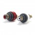 WBT-0210Cu Embases RCA Nextgen cuivre 75 Ohms (La paire)