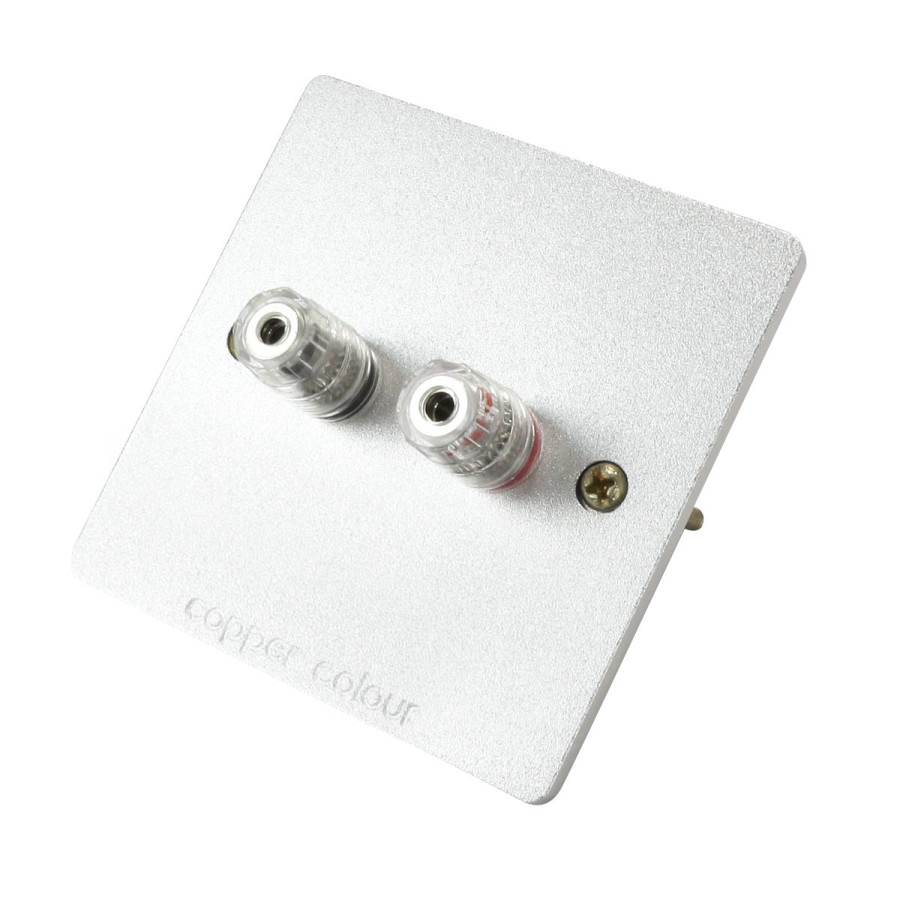 Dynavox Prise Murale Haut-Parleurs 2 Borniers Fiches Banane - Acier Inoxydable Import Allemagne