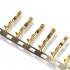 AMP 2.54mm Female Conductor Gold Plated (x10)