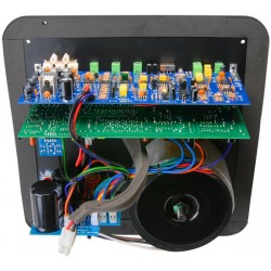 Dayton Audio SPA500 500W Subwoofer Amplificateur 25cm