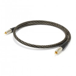 Câble Ethernet RJ45 Cat 6 Blindé 2m - Audiophonics