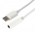 Cable Male USB-C 3.1 to Female Jack stereo 3.5mm 10cm